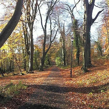 Nuremore Estate 3*